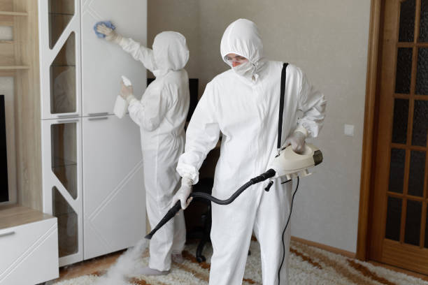 Best Professional Mold Removal  in Trumansburg, NY