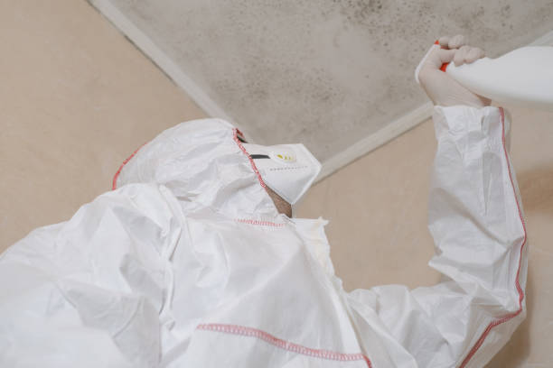 Best Best Mold Removal Companies  in Trumansburg, NY